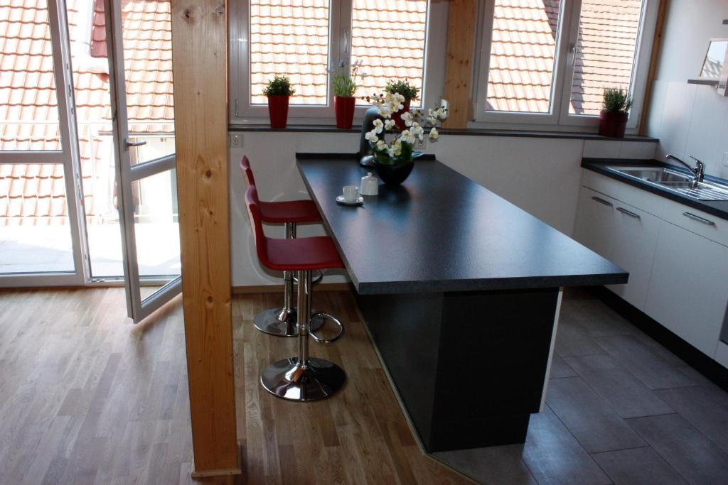 Wonnentaler Apartments Kenzingen Δωμάτιο φωτογραφία